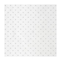 HESBA Corrado Kinderwagen 796/227 Teilleder Mit Schwenkbaren Vorderrädern Schwarz SW-SL 2/25 -Geschäft Für Babyprodukte 227 sternchen ecru grau stoffgruppe 2 gr 4